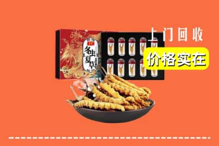 源汇区回收冬虫夏草